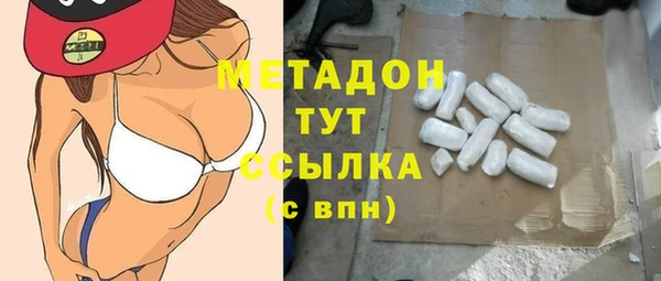 прущие грибы Михайловка