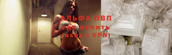 прущие грибы Михайловка