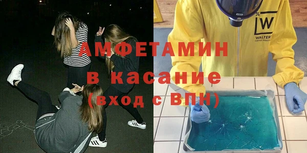 прущие грибы Михайловка