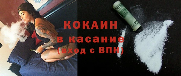 прущие грибы Михайловка